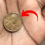 Lincoln Wheat Penny